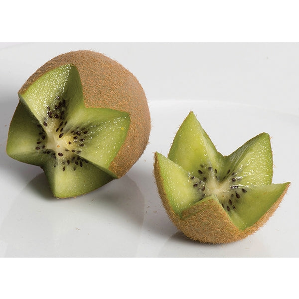 Coupe étoiles Gobel - Mathon - 5