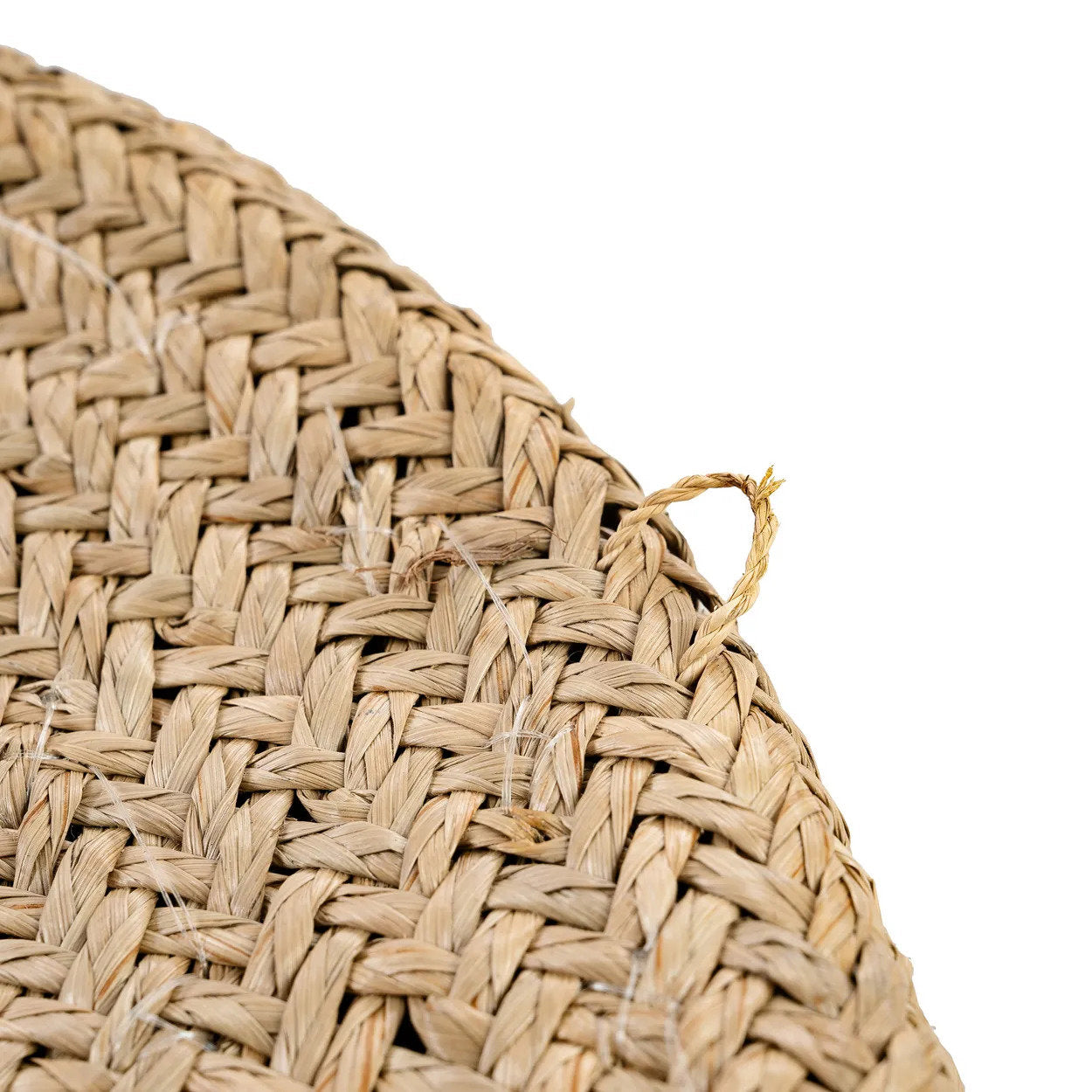 L’Assiette Costa Shell - Blanc Naturel - M Bazar Bizar - Mathon - 8