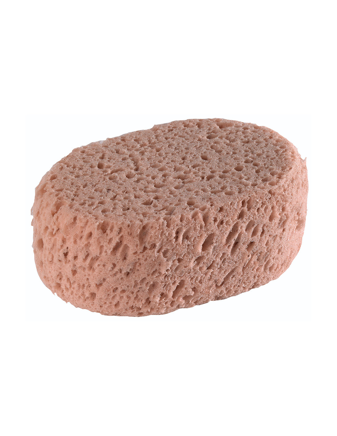 éponge Synthétique Ovale Hydrograttante Générique - Mathon