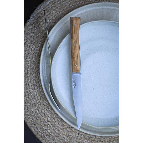 Coffret de 4 couteaux de table à lame lisse Facette olivier  Opinel - Mathon - 2