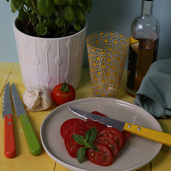 Coffret de 6 couteaux steak en bois de hêtre Tradition Colors Jean Dubost - Mathon - 2