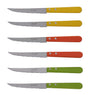 Coffret de 6 couteaux steak en bois de hêtre Tradition Colors Jean Dubost - Mathon - 4