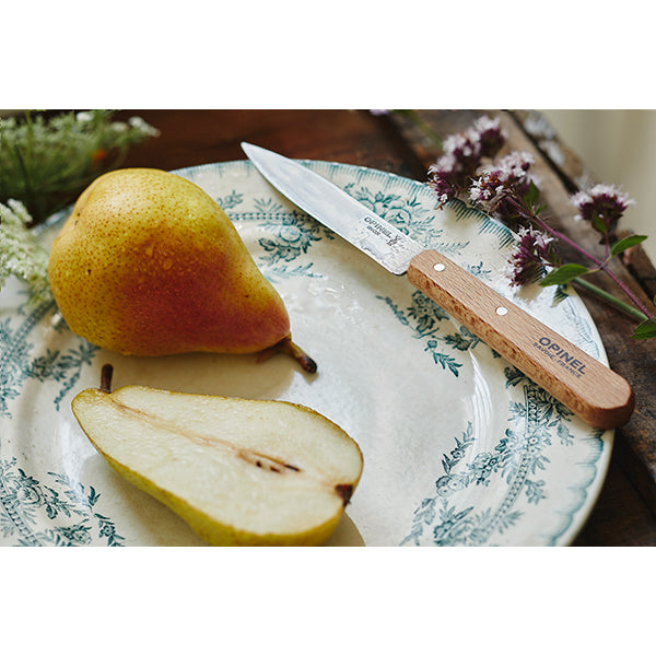 Lot 2 Couteaux office N°112 lame lisse inox 10 cm naturel Opinel - Mathon - 2