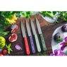 Coffret 4 couteaux d’office N°112 Essentiels Paysage Opinel - Mathon - 2