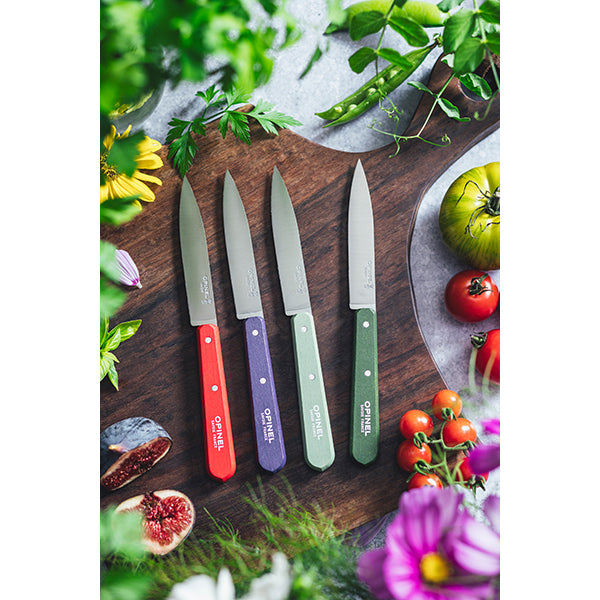 Coffret 4 couteaux d’office Essentiels Paysage  Opinel - Mathon - 4