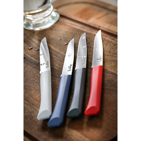 Coffret 4 couteaux de table Bon Appétit Opinel - Mathon - 2