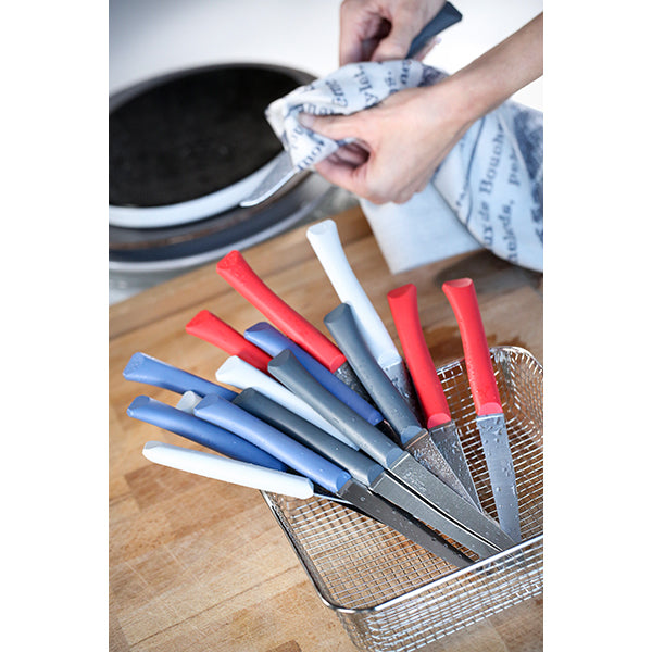 Lot de 2 coffrets 4 couteaux de table Primo Opinel - Mathon - 4