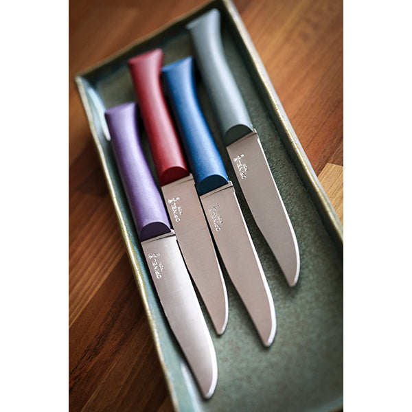 Coffret 4 couteaux de table Glam Opinel - Mathon - 2