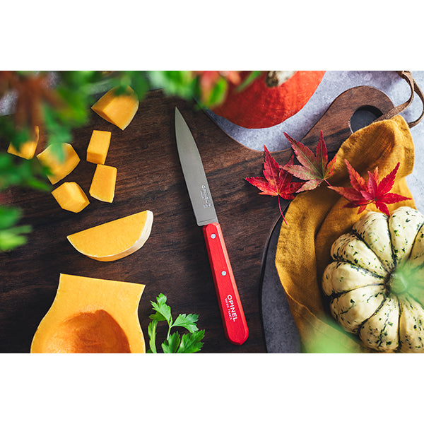 Couteau office N°112 lame lisse inox 10 cm rouge Opinel - Mathon - 2