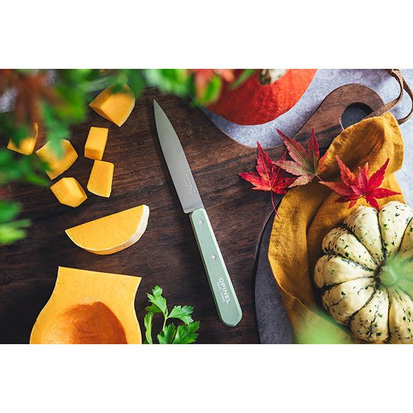 Couteau office N°112 lame lisse inox 10 cm sauge Opinel - Mathon - 2