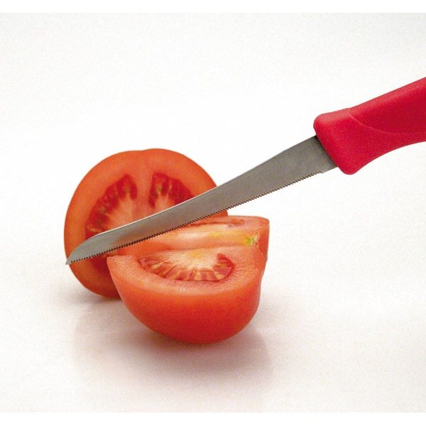 Lot De 6 Couteaux à Fruits/Tomates Gris - Pointe Arrondie, Acier Inoxydable