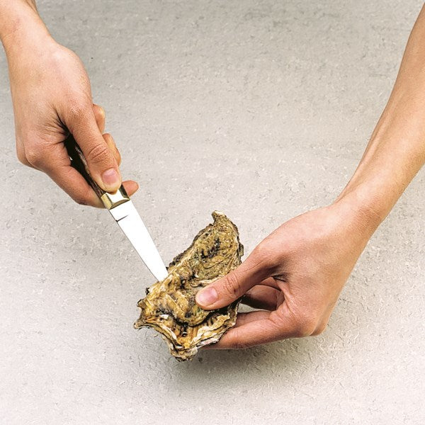 Lot de 2 lancettes à huitres Sabatier International - Mathon - 2