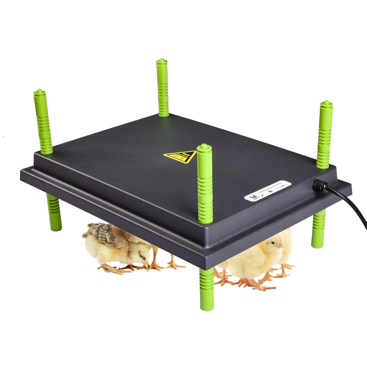 Plaque Chauffante pour assiettes Poussins Noir/Vert Vendos85 - Mathon