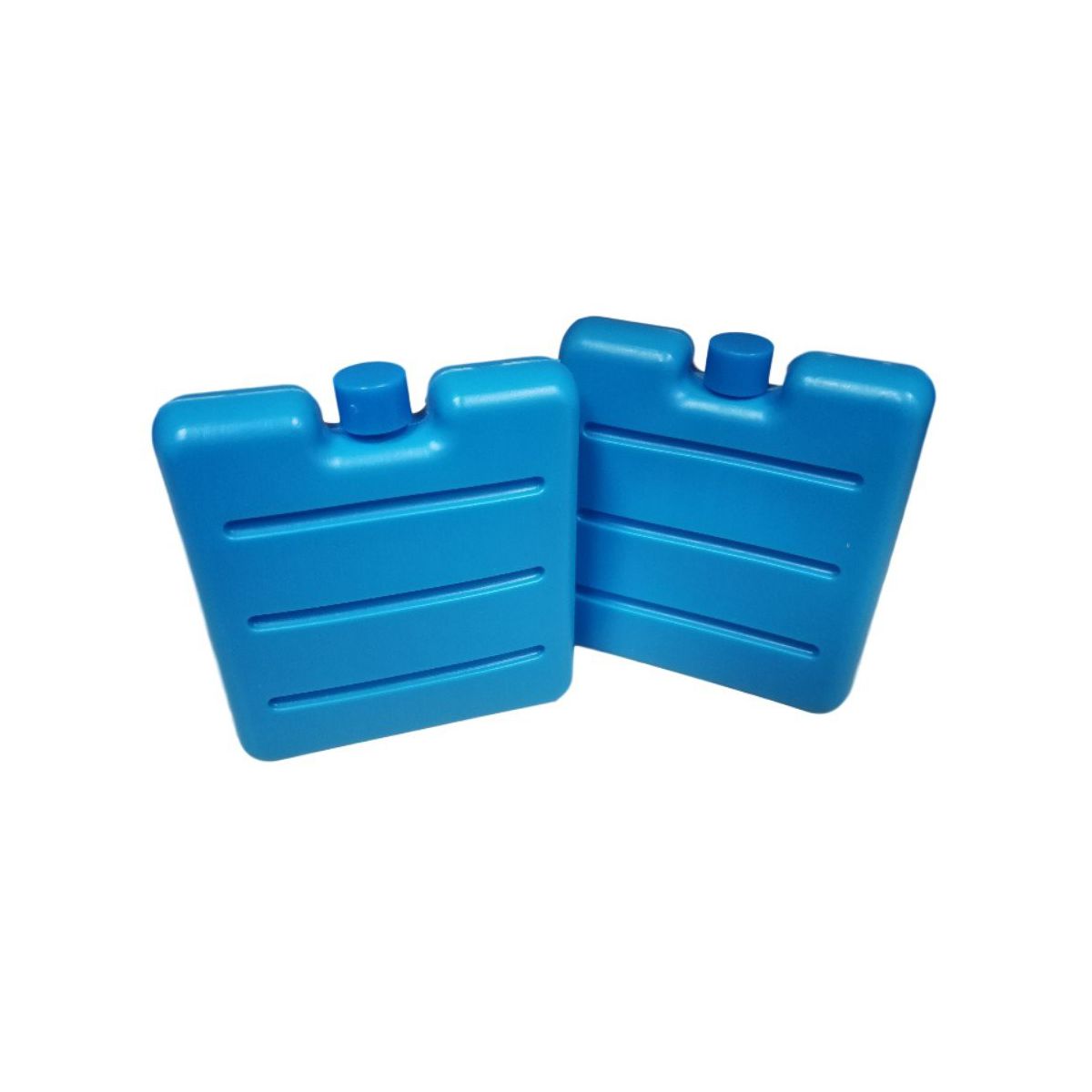 Lot de 2 pains de glace pour glacière et lunch bag Fackelmann - Mathon - 1