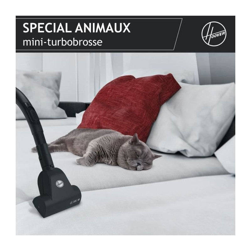 Aspirateur Traineau Sac -   Telios Extra Txl20pet - 700 W - 3,5 L - 69 Dba - Spécial Animaux Hoover - Mathon - 6