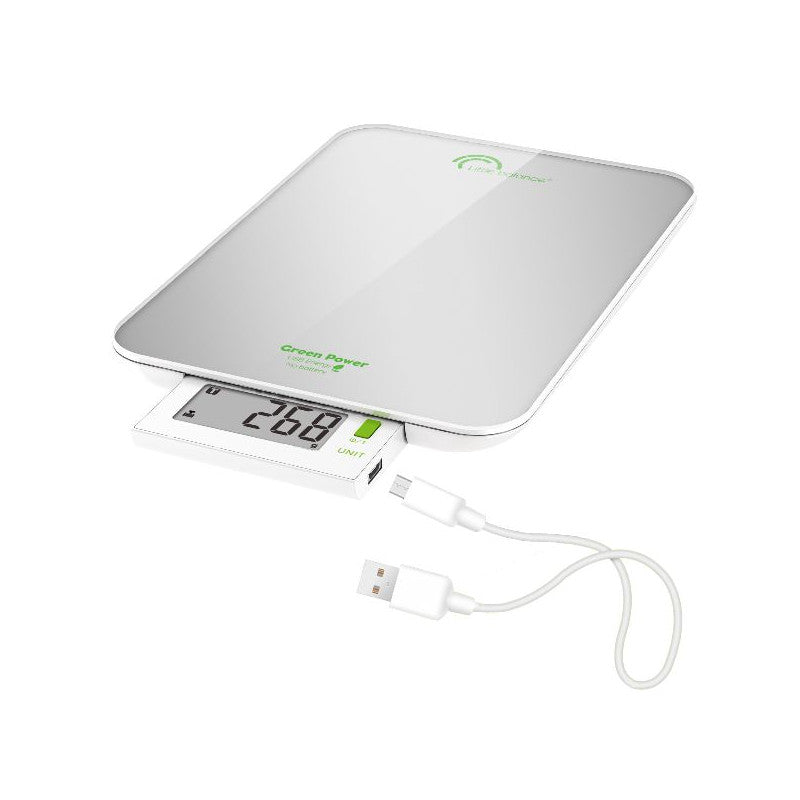 Balance Silver Nacre 6kg 1g Little Balance - 8183 Little Balance - Mathon