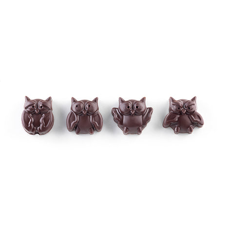Moule en silicone 12 chocolats chouette Silikomart - Mathon - 1