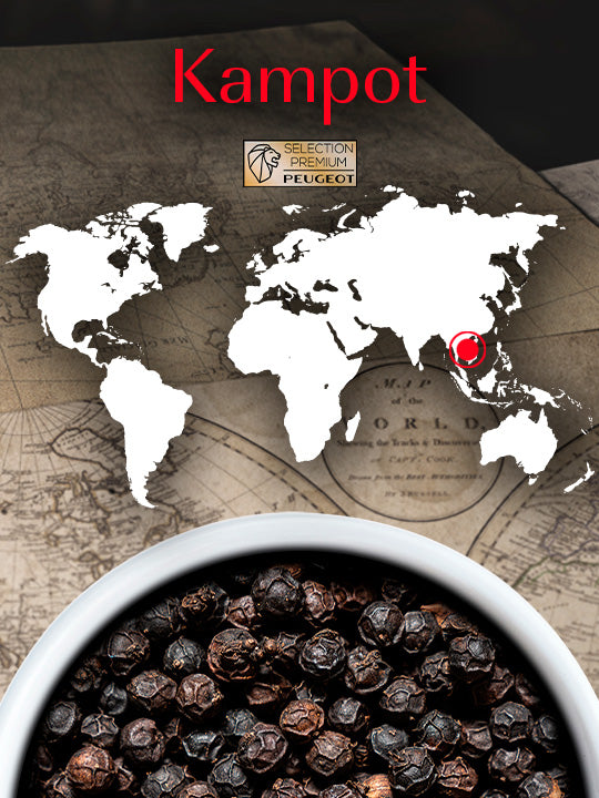 Multipack Mix Premium Pack Poivres et Sel Premium Peugeot - Mathon - 6