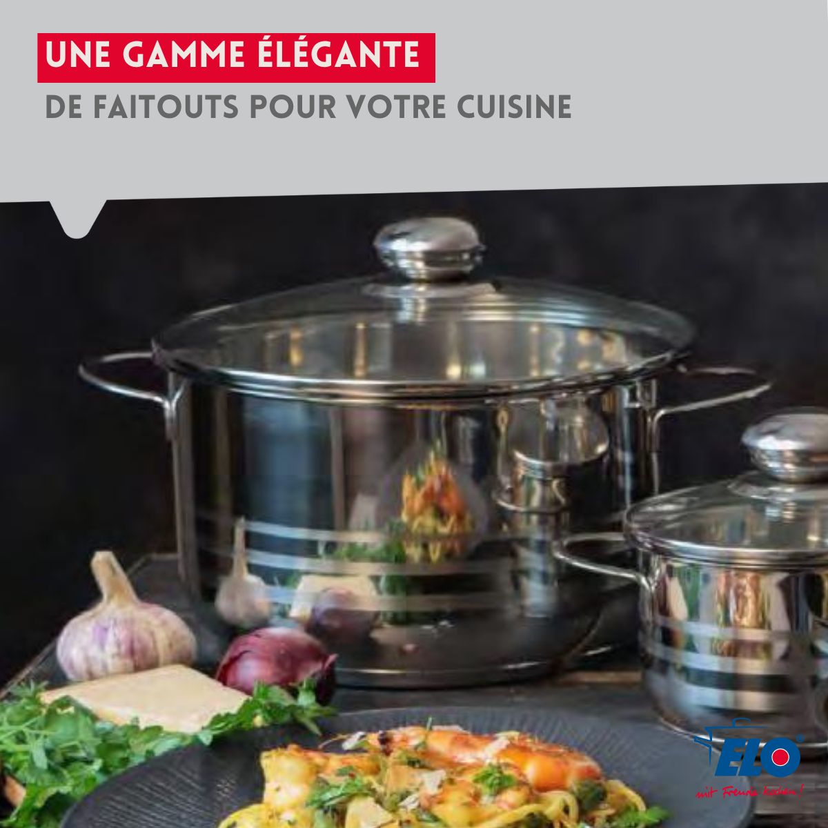 Ensemble de 2 Poêles de cuisson 24 et 32 cm et 3 faitouts 12, 20 et 24 cm  Profi Brillant Elo - Mathon - 5