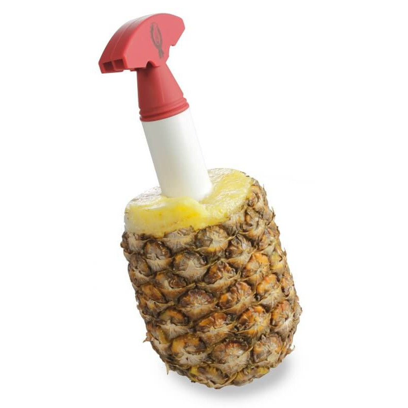 Le Découpe Ananas Venteo - Mathon - 1