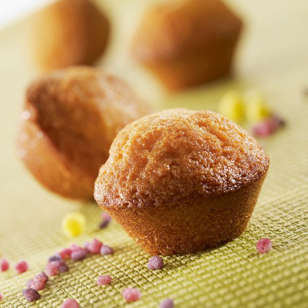 Lot 2 grandes plaques silicone mini-canelés et muffins Mathon - Mathon - 5