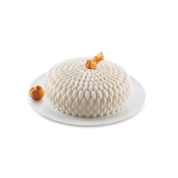 Lot moule en silicone Honoré et moule à insert rond Silikomart - Mathon - 1