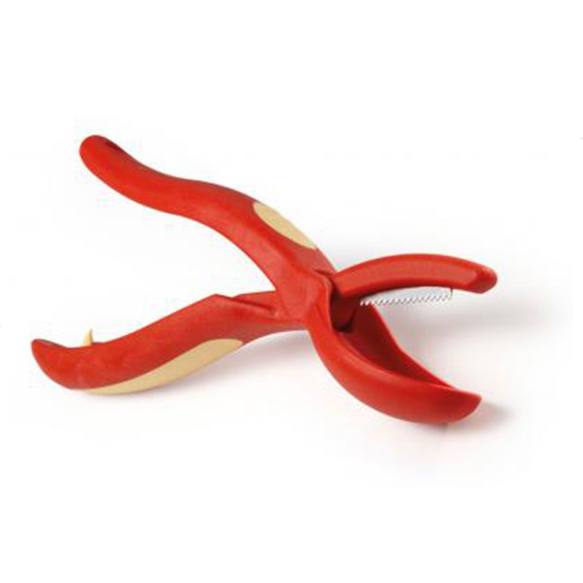 Pince a chataignes et marrons Astuceo - Mathon - 1