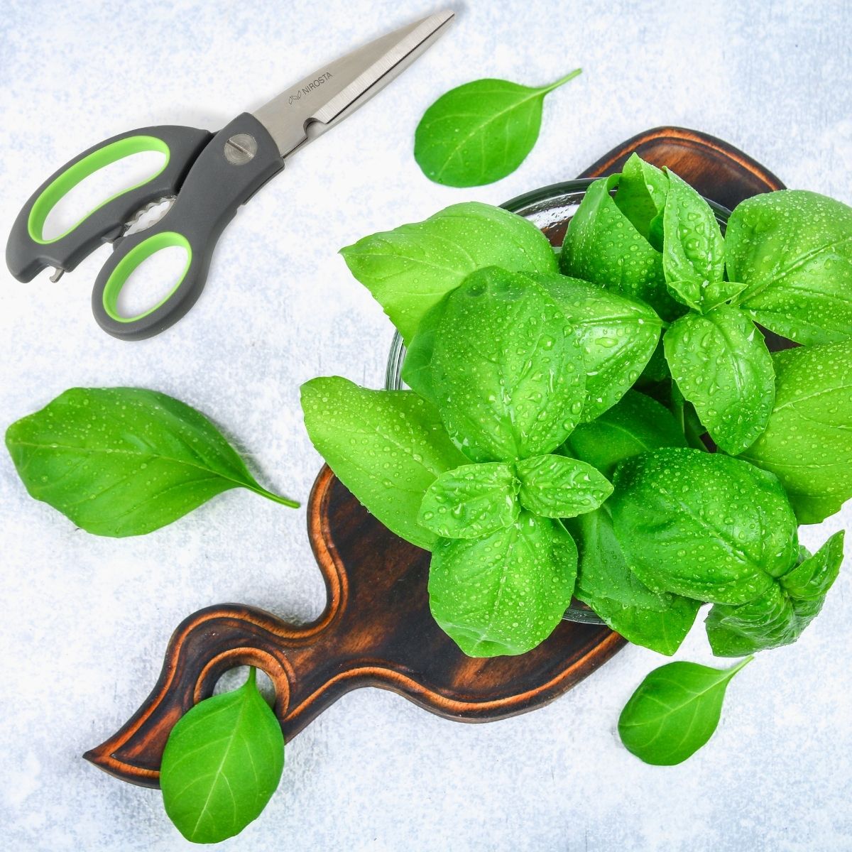 Ciseaux de cuisine  Praktika Nirosta - Mathon - 2