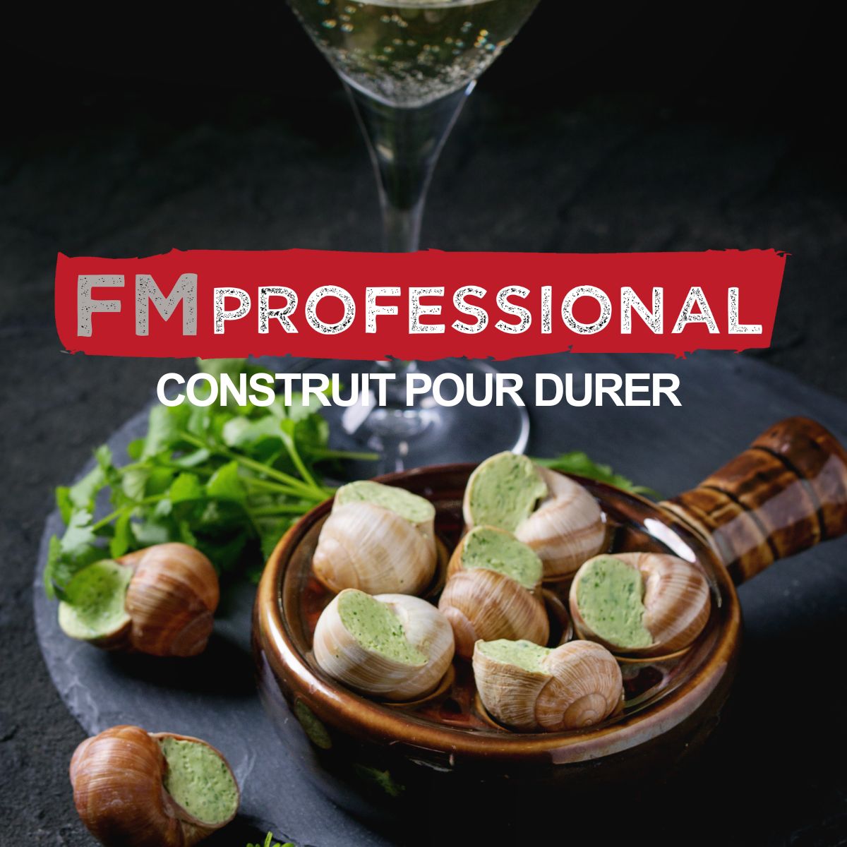 Lot de 4 pinces à escargot FM Professional - Mathon - 7