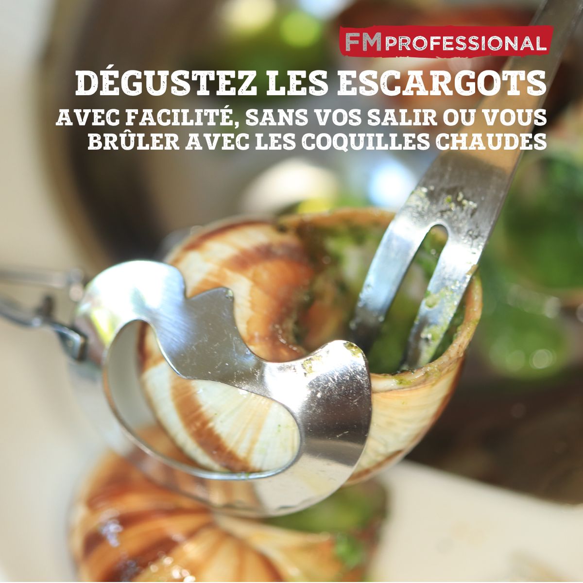 Lot de 4 pinces à escargot FM Professional - Mathon - 4
