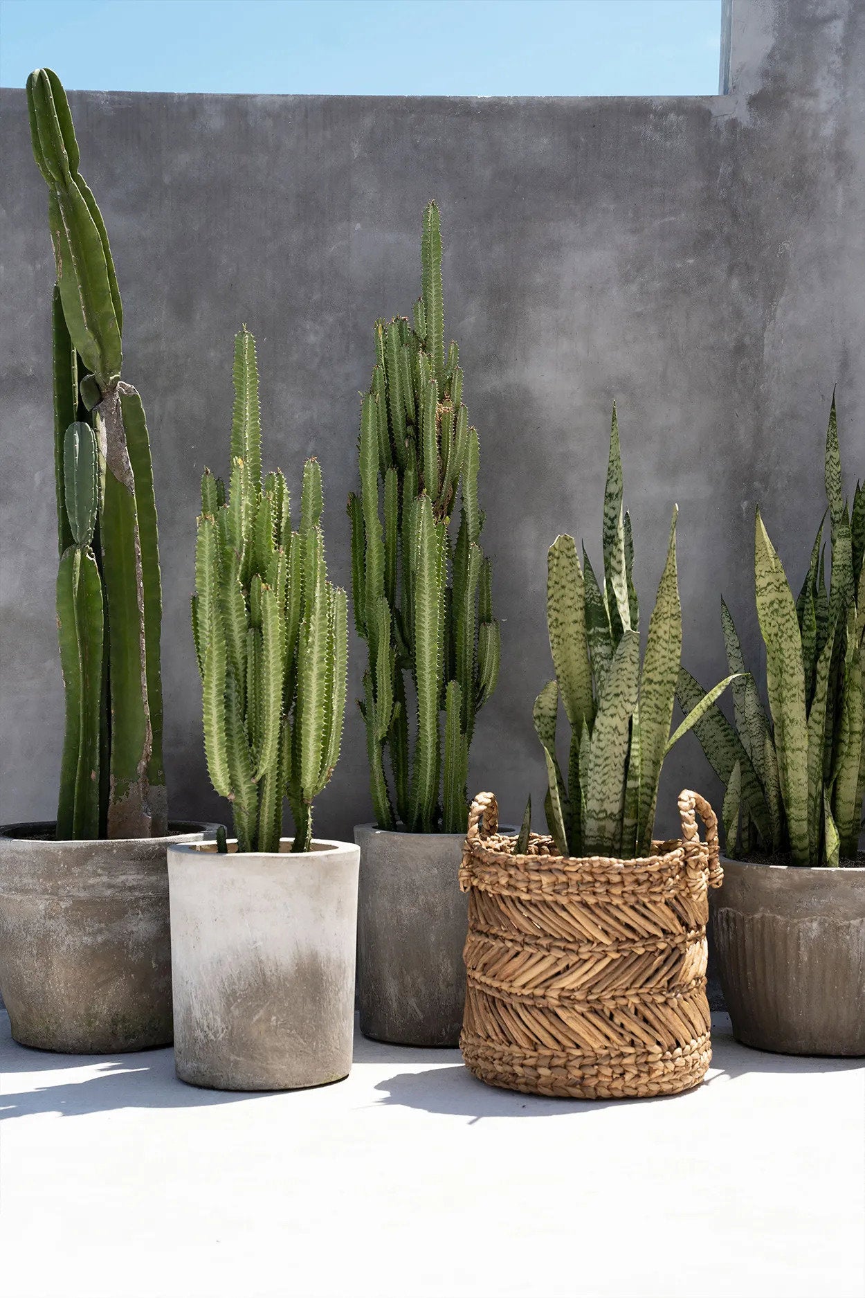 Le Panier En Zigzag De Banane - L Bazar Bizar - Mathon - 4