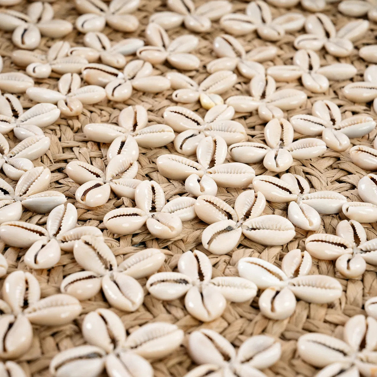 L’Assiette Costa Shell - Blanc Naturel - M Bazar Bizar - Mathon - 5