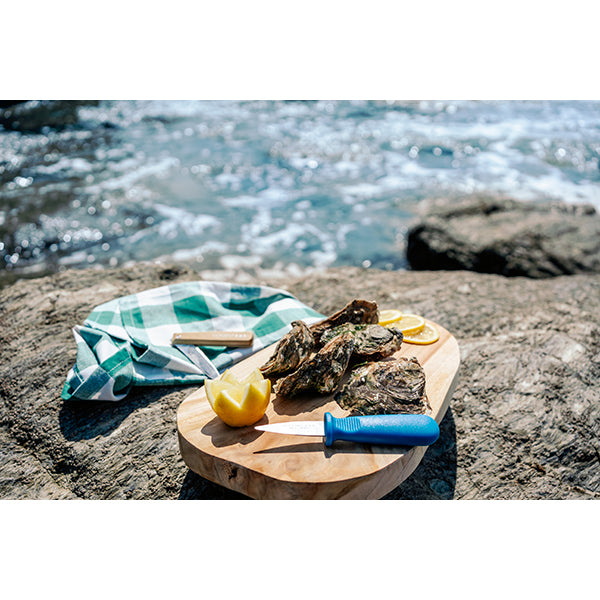 Couteau à huître double biseau Nogent - Mathon - 2