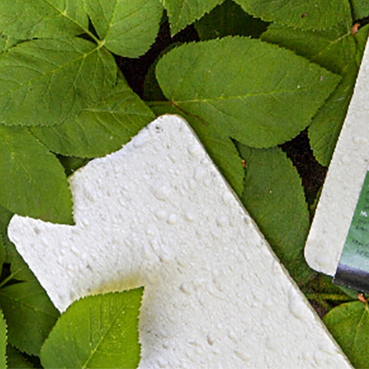 Eponge multifonctions en cellulose de bois Maistic - Mathon - 2