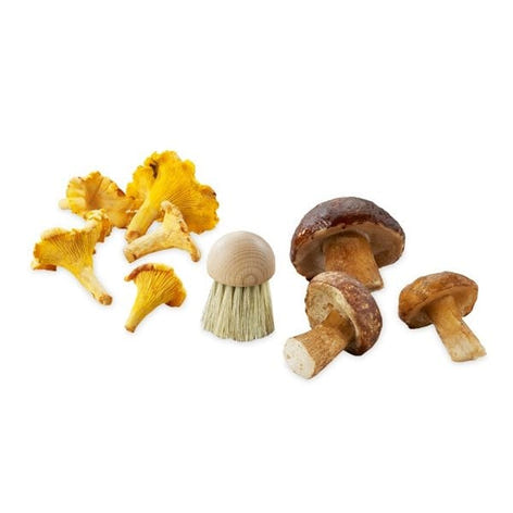 Brosse à champignons La Bonne Graine - Mathon - 1