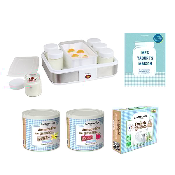 Lot yaourtière + ferments + arômes vanille et framboise + livre recettes - Mathon - 1