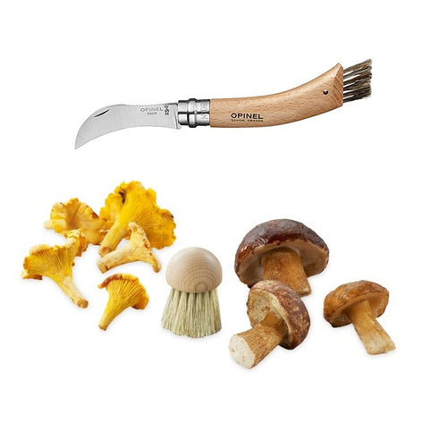 Lot brosse à champignons et couteau à champignons pliant N°8 - Mathon - 1