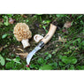Lot brosse à champignons et couteau à champignons pliant N°8 - Mathon - 2