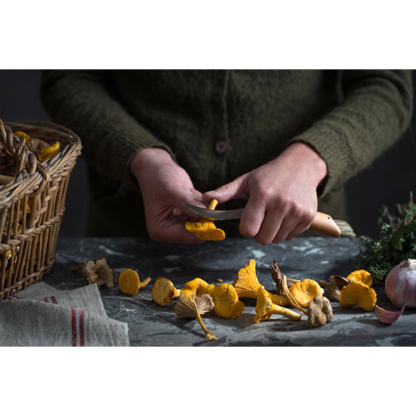 Lot brosse à champignons et couteau à champignons pliant N°8 - Mathon - 3