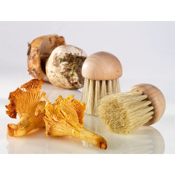 Set brosse à champignons et couteau à champignons pliant N°8 - Mathon - 4