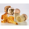 Lot brosse à champignons et couteau à champignons pliant N°8 - Mathon - 4