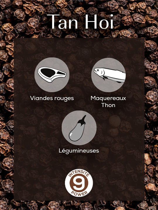 Multipack Mix Standard Pack Poivres et Sel Classique Peugeot - Mathon - 2