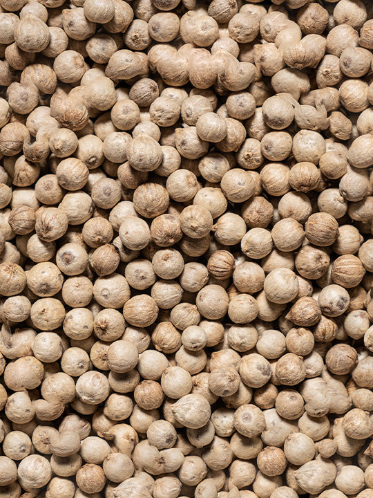 Poivre blanc Sikara 3 x 20g Peugeot - Mathon - 4