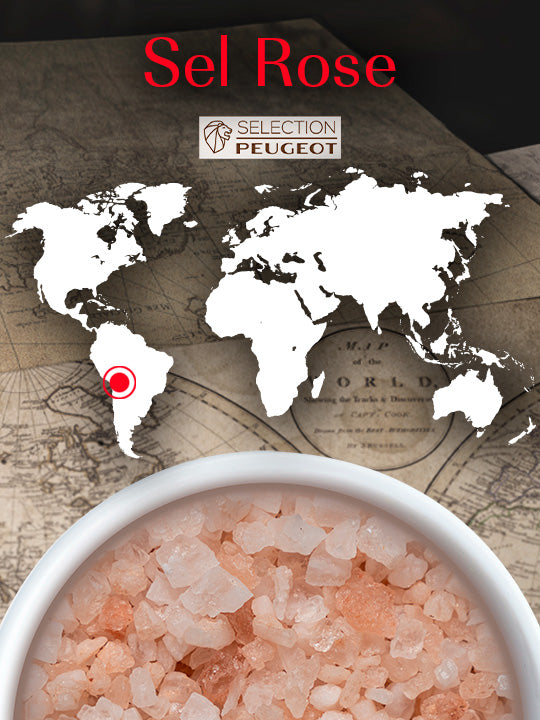 Multipack Mix Premium Pack Poivres et Sel Premium Peugeot - Mathon - 5