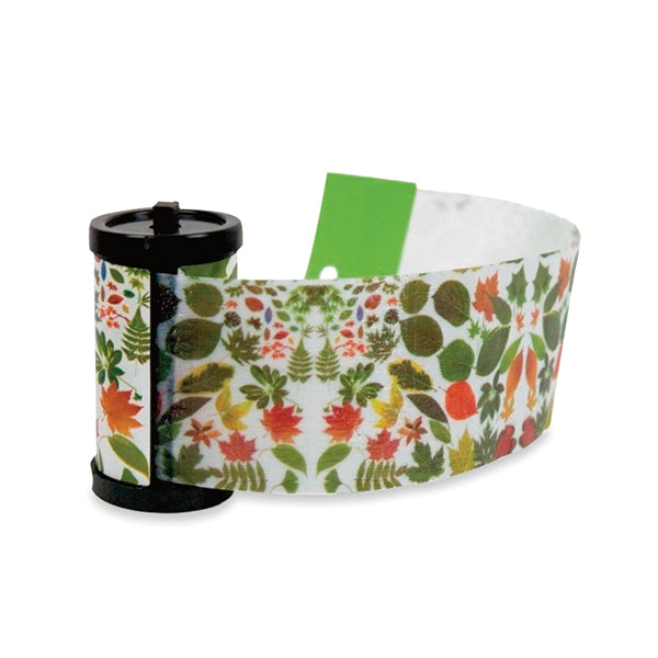 Set de 4 rouleaux piège à mouches - Mathon - 1