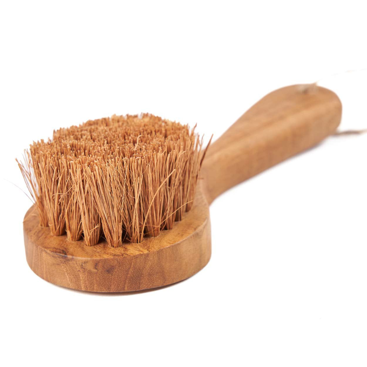 La Brosse Toto - Naturel Bazar Bizar - Mathon - 2