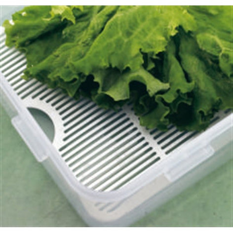 Boîte haute et grille fraîcheur 5,5 L Lock and Lock - Mathon - 2