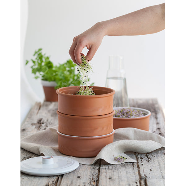 Germoir à 3 étages en terre cuite Point Virgule - Mathon - 2