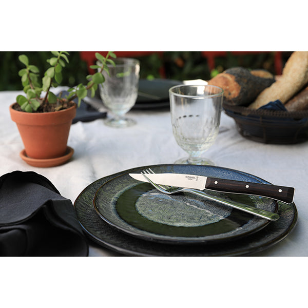 Coffret de 4 couteaux de table à lame lisse Facette frêne sombre Opinel - Mathon - 3