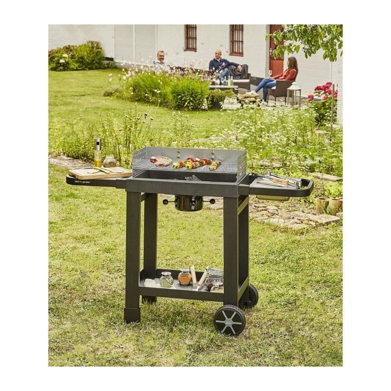 Barbecue Au Charbon De Bois - Cook